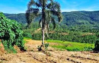 Imagem: O terreno possui 1.000m² de Área e está localizado em Pedra