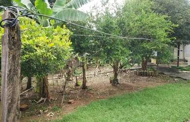 Imagem 3: Terreno à venda em Campinas, Parque dos Cisnes, com 1030 m²