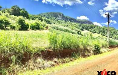 Imagem 15: Sítio / Chácara para Venda em Nova Petrópolis, Linha Pirajá Baixa