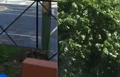 Imagem: O apartamento possui 3 Dormitórios, 2 Banheiros, 1 Vaga na