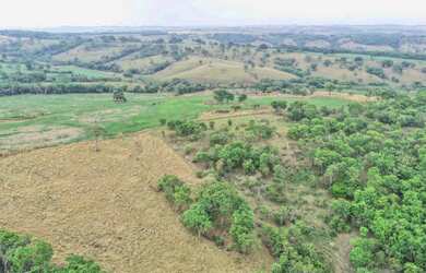 Imagem 11: Fazenda São Bento Bela Vista Goiás 32 Alqueires ou 68.5 alqueires ambos...