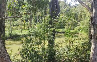 Imagem 2: 4 hectares lagoa casarão 3 km do centro