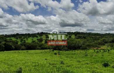 Imagem 14: Beira Rio - Chácara 1.36 alqueires 66.000 metros Santa Cruz de Goiás