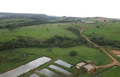 Imagem 10: Oportunidade Fazenda á Venda Município de Bela Vista-GO