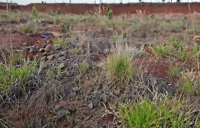 Imagem: O terreno possui 300m² de Área, Imóvel novo e está localizado