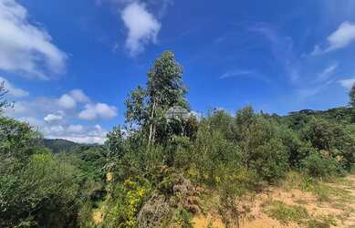 Imagem: O terreno possui 6.000m² de Área e está localizado em Bocaiúva