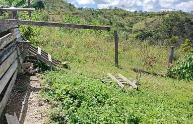 Imagem: A fazenda possui 50.000m² de Área e está localizado em Setor