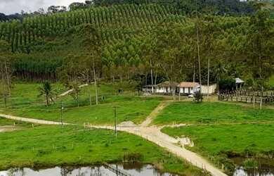 Imagem: A fazenda possui 238m² de Área e está localizado em Dário