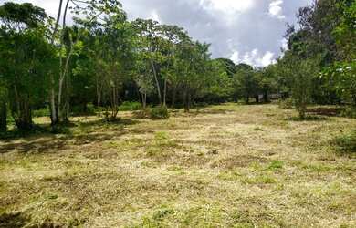 Imagem 2: Lotes espetacular em Aldeia, arborizados, murado, plano, legalizado