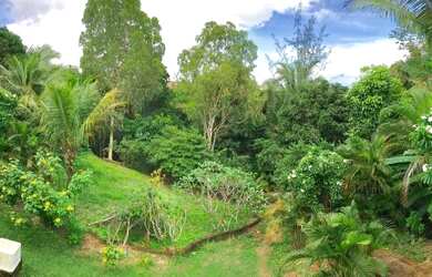Imagem 2: CASA A VENDA NO ARAÇAGY Rua ao lado do condominio Villa Fiori