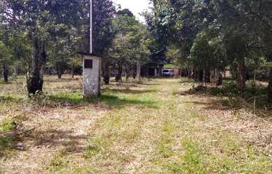 Imagem 1: Lotes espetacular em Aldeia, arborizados, murado, plano, legalizado