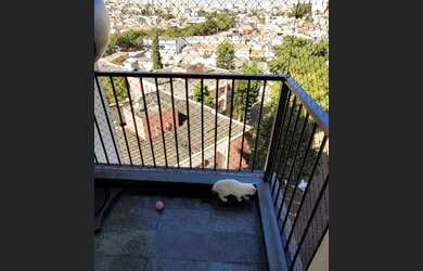 Imagem 4: Apartamento com 2 dormitórios, 68 m² - venda por R$ 389.000,00 ou aluguel por R$ 2.576,00