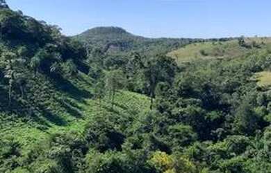 Imagem 3: Fazenda 11 algueire em Aparecida