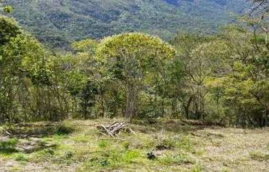 Imagem: O terreno está localizado em Cuiabá, Petrópolis à venda