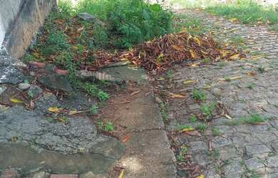 Imagem 5: Duas casas. 2 Banheirose2 Dormitórios