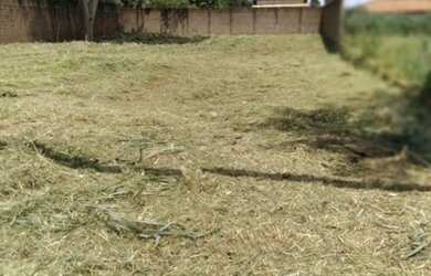 Imagem: O terreno possui 1.000m² de Área e está localizado em São