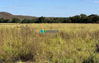Imagem 5: FAZENDA À VENDA - 165 HECTARES - REGIÃO DE CURVELO MG
