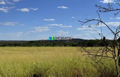 Imagem 14: FAZENDA À VENDA - 165 HECTARES - REGIÃO DE CURVELO MG