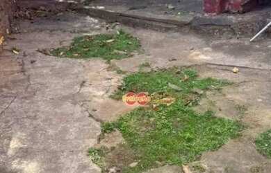 Imagem 5: Salão Comercial / Centro