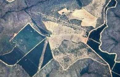 Imagem 2: A M IMOVEIS VENDE EXELENTE FAZENDA 180HECTARES NA CHAPADA GAUCHA EM BURITIS...