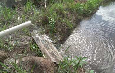 Imagem 6: 1 hectare pisciciultura abandonada 277 mil reais 2 casas