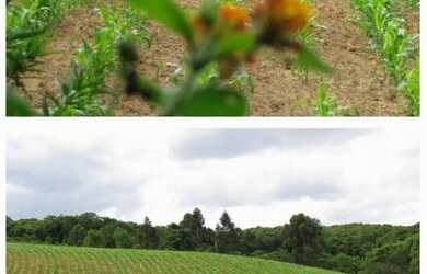 Imagem: A chácara possui 48.400m² de Área e está localizado em