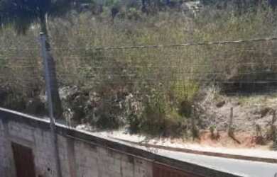 Imagem 6: Lote. 356m² de Área