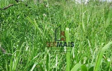 Imagem 3: Sítio à venda, 605000 m² por R$ 250.000,00 - Zona Rural - Humaita/AM