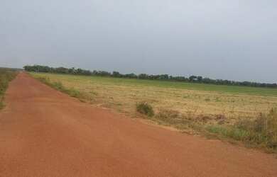 Imagem: A fazenda está localizado em Duerê, TO à venda por R$40.000.000