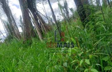 Imagem 9: Sítio à venda, 605000 m² por R$ 250.000,00 - Zona Rural - Humaita/AM