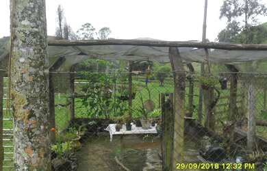 Imagem 13: A RC IMÓVEIS VENDE MARAVILHOSA FAZENDA/HARAS COM ESPETACULAR ESTRUTURA...