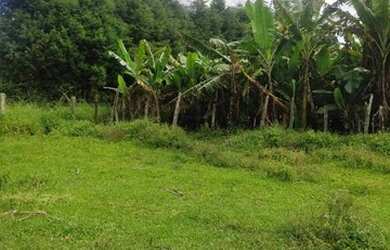 Imagem 1: Lote/Terreno para venda 1000m² - Carapicuíba - SP