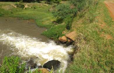 Imagem 12: Belíssima fazenda de 53 alqueires, região de Presidente Prudente terra...