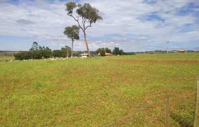 Imagem 10: Belíssima fazenda de 53 alqueires, região de Presidente Prudente terra...