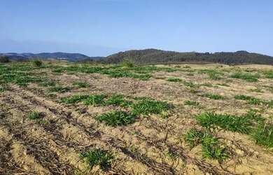 Imagem 4: Lote/Terreno para venda possui 500 metros quadrados em Jardim Imperial...