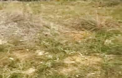 Imagem: O terreno possui 140m² de Área e está localizado em Araçariguama