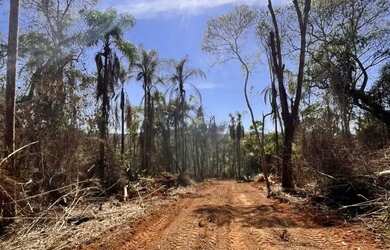 Imagem 10: L1- Os melhores lotes de toda a região so aqui, venha já