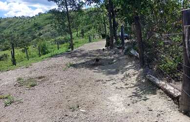 Imagem 12: A M IMOVEIS VENDE EXELENTE FAZENDA NA FERCAL COM 10 ALQUEIRES