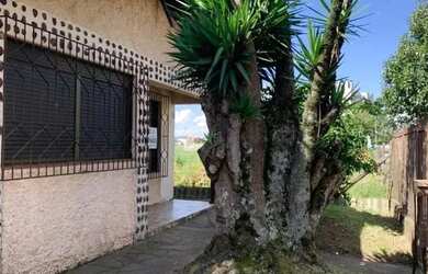 Imagem 3: CAXIAS DO SUL - Terreno Padrão - SAGRADA FAMÍLIA