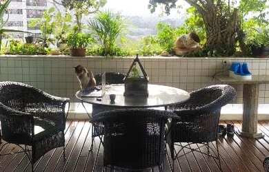 Imagem 5: Alugo apto mobiliado vista mar no Condomínio Parque Atlântico Sul