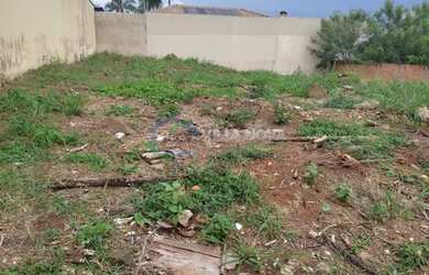 Imagem 4: Ribeirão Preto - Terreno Padrão - Alto da Boa Vista