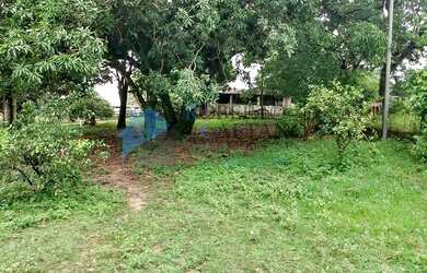 Imagem 15: Excelente área plana com 35.000 m² no Bairro Bandeirinhas em Betim