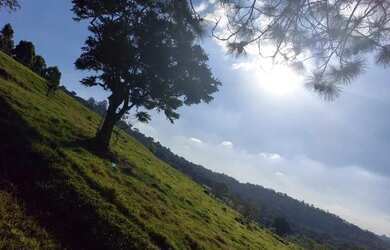 Imagem: O terreno possui 500m² de Área e está localizado em Jardim