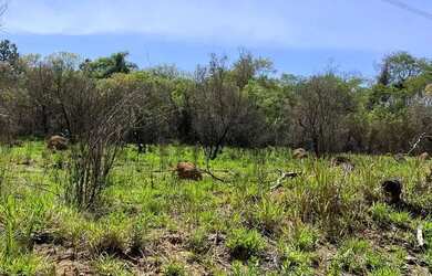 Imagem 5: Terrenos no Bairro do Portão Condições Especiais