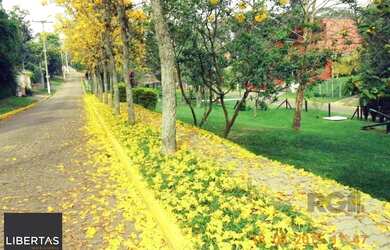 Imagem: O terreno possui 332m² de Área e está localizado em São