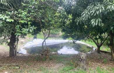 Imagem 14: SÍTIO EM GLAURA SOARES 120mil metros quadrados