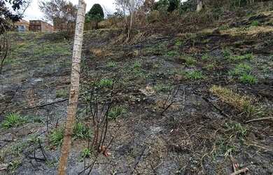 Imagem 8: Terreno POLIVALENTE. 840m² de Área