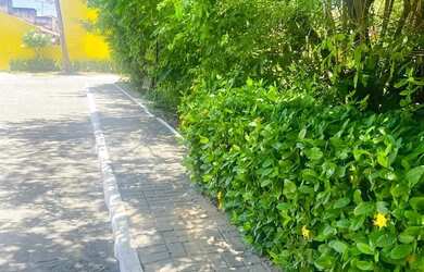 Imagem 12: Alugo apartamento porto seguro