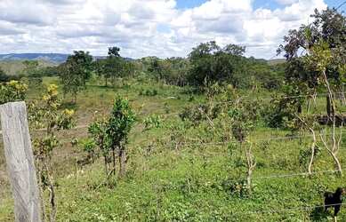 Imagem 3: A M IMOVEIS VENDE EXELENTE FAZENDA NA FERCAL COM 10 ALQUEIRES