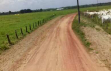 Imagem 7: R$ 20 milhões 1107 hectares pronta e 100 documentada aceita 50 de entrada